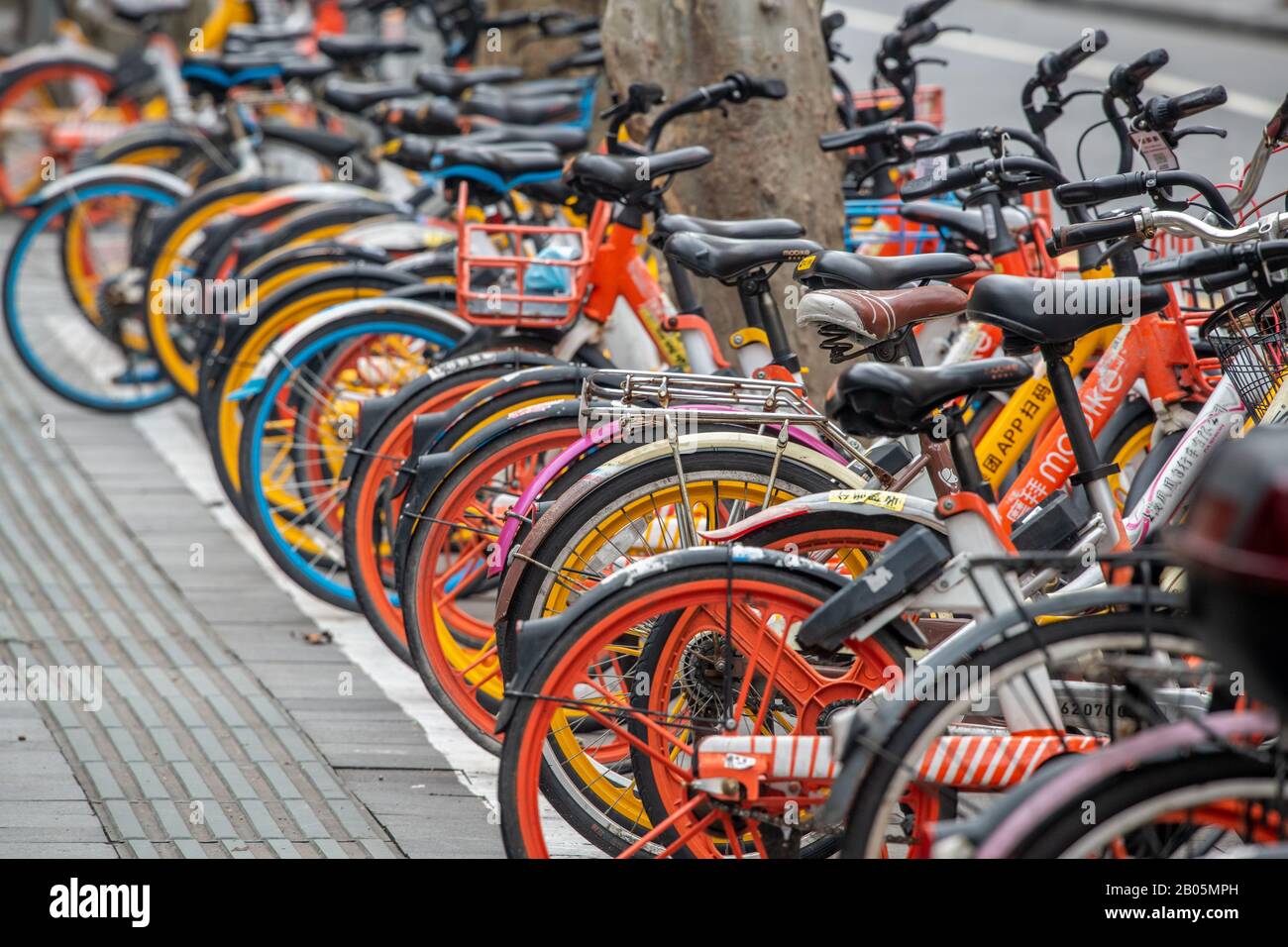 Vélos aux couleurs vives garés sur le trottoir , Shanghai, Chine Banque D'Images