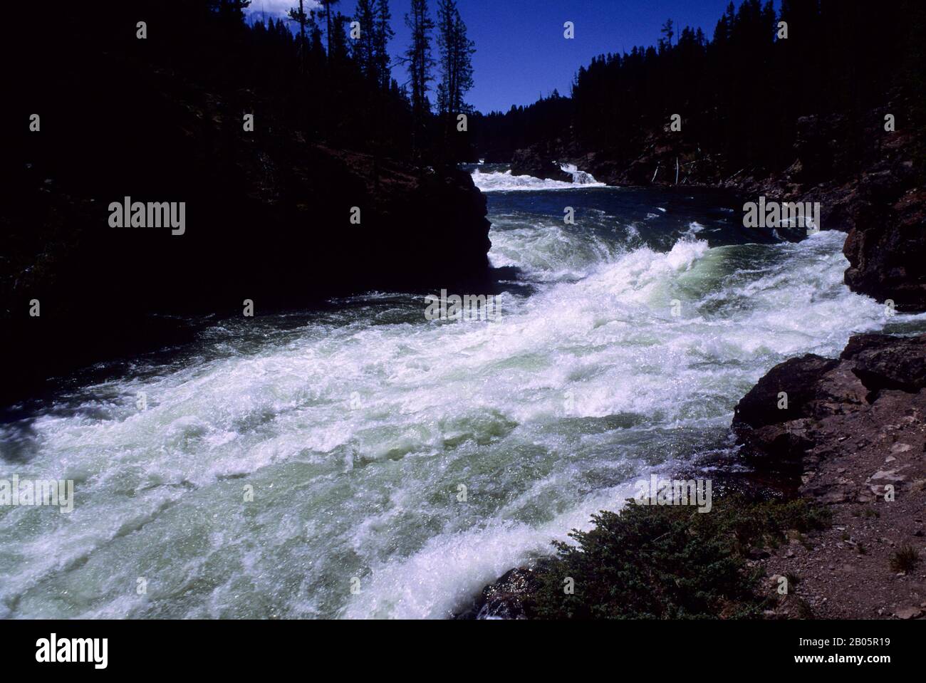 ÉTATS-UNIS, WYOMING, YELLOWSTONE NP, GRAND CANYON DE YELLOWSTONE, YELLOWSTONE RIVER Banque D'Images