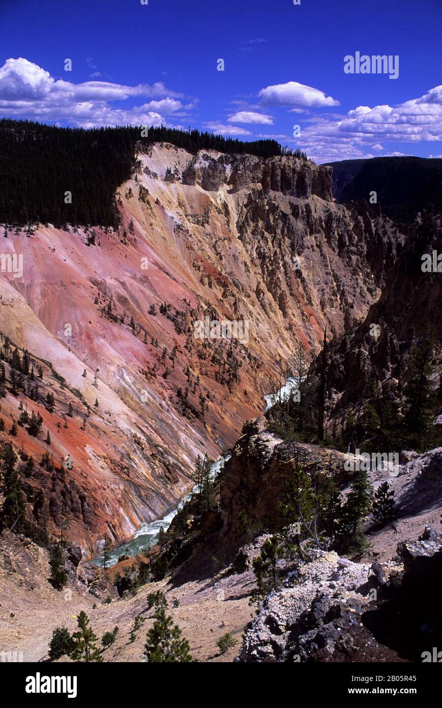ÉTATS-UNIS, WYOMING, YELLOWSTONE NP, GRAND CANYON DE YELLOWSTONE, YELLOWSTONE RIVER Banque D'Images