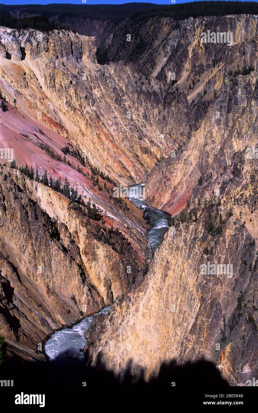 ÉTATS-UNIS, WYOMING, YELLOWSTONE NP, GRAND CANYON DE YELLOWSTONE, YELLOWSTONE RIVER Banque D'Images