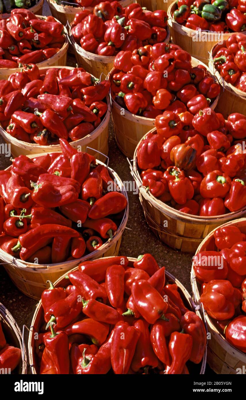 CANADA, ONTARIO, MARCHÉ NATIONAL DE WATERLOO, GROS PLAN DE POIVRONS DANS LES PANIERS Banque D'Images