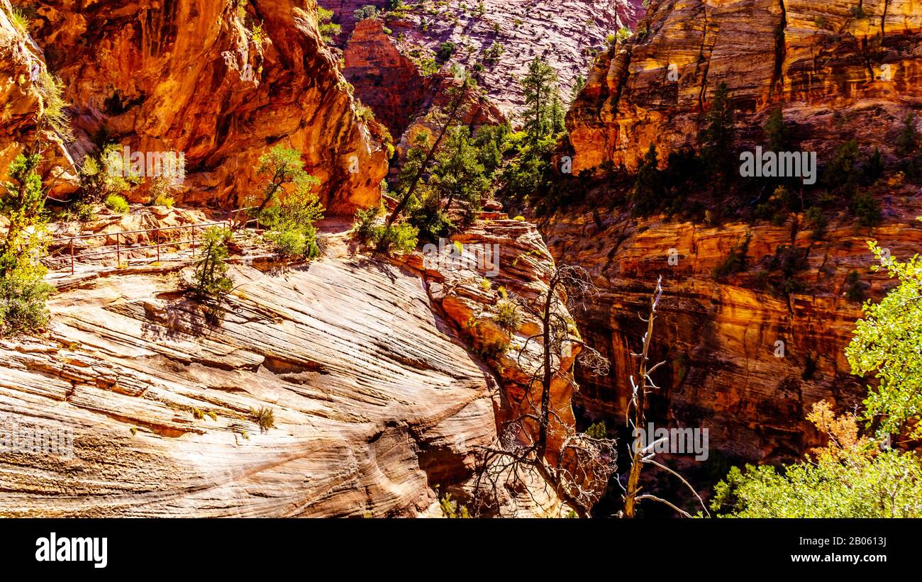 La randonnée le long des Grands Ravins du Canyon Donne Sur Trail dans le parc national de Zion, Utah, États-Unis Banque D'Images