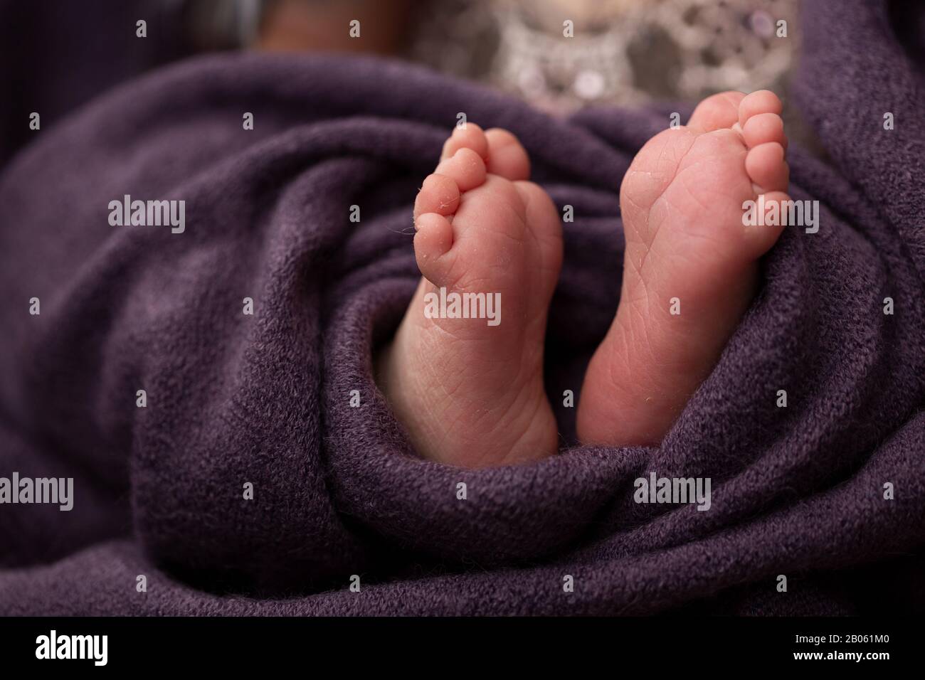 Pied de bébé plié en serviette violette. Mise au point sélective Banque D'Images