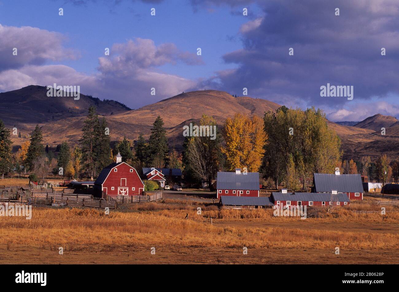 USA, L'EST DE WASHINGTON, PRÈS DE WINTHROP, METLOW VALLEY, RANCH EN COULEURS D'AUTOMNE Banque D'Images