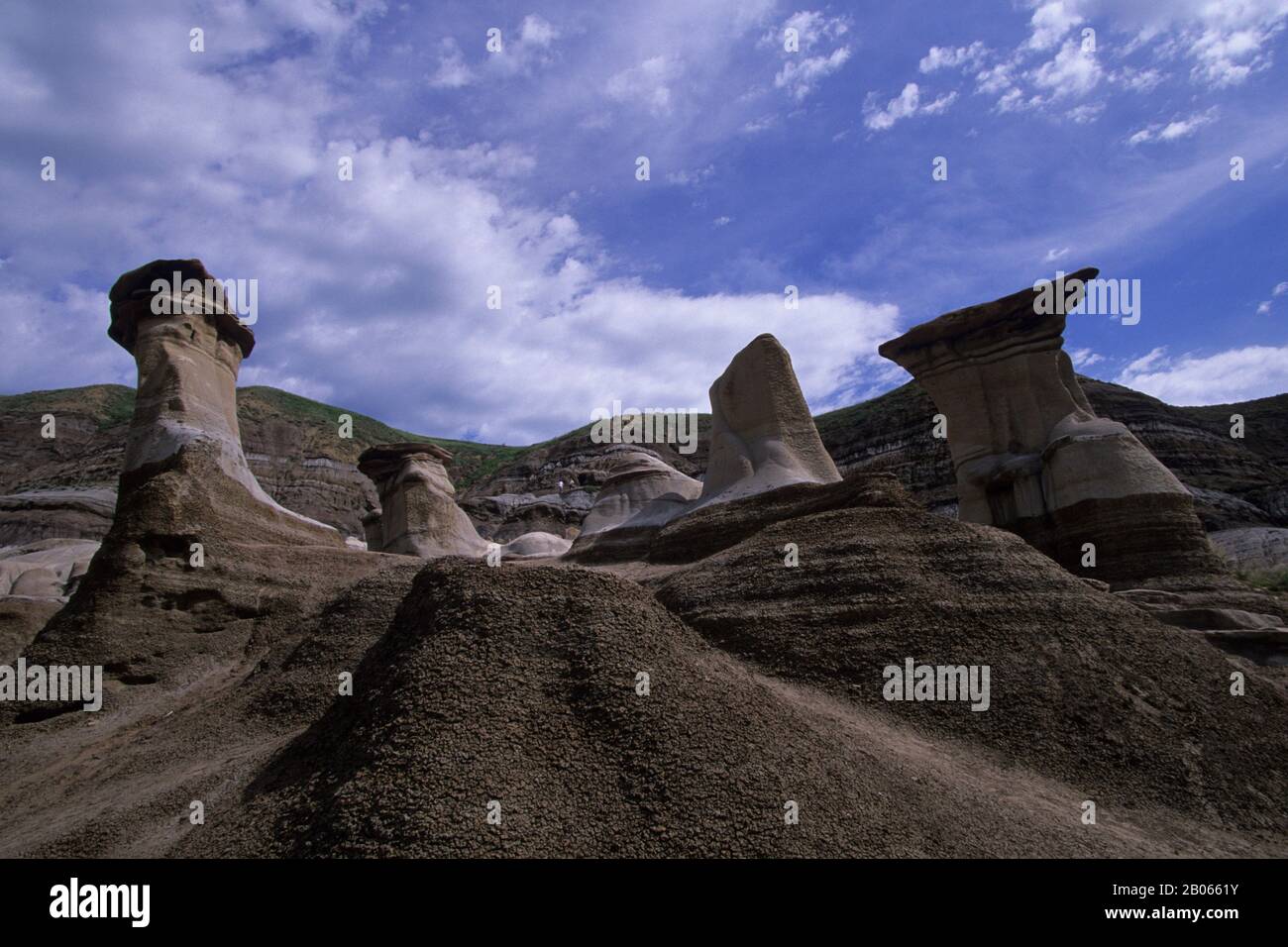 CANADA, ALBERTA, PRÈS DE DRUMHELLER, BADLANDS DU CANADA, HOODOOS (SCULPTURES EN GRÈS) Banque D'Images