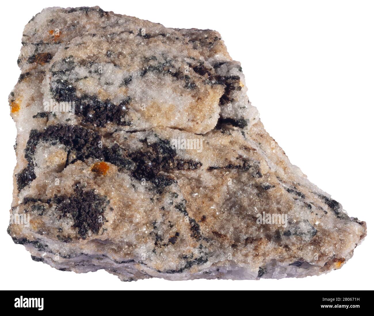 Edenite, métamorphique, Estrie, Québec Banque D'Images