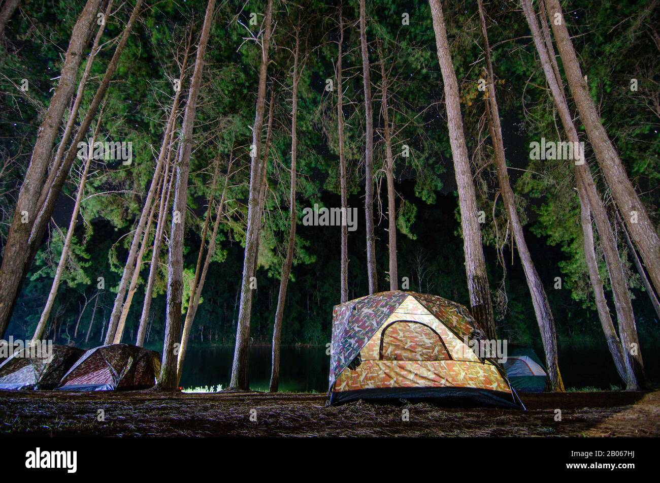 Camping dansant dans la forêt de Pang Ung, province de Mae Hong son, Thaïlande Banque D'Images