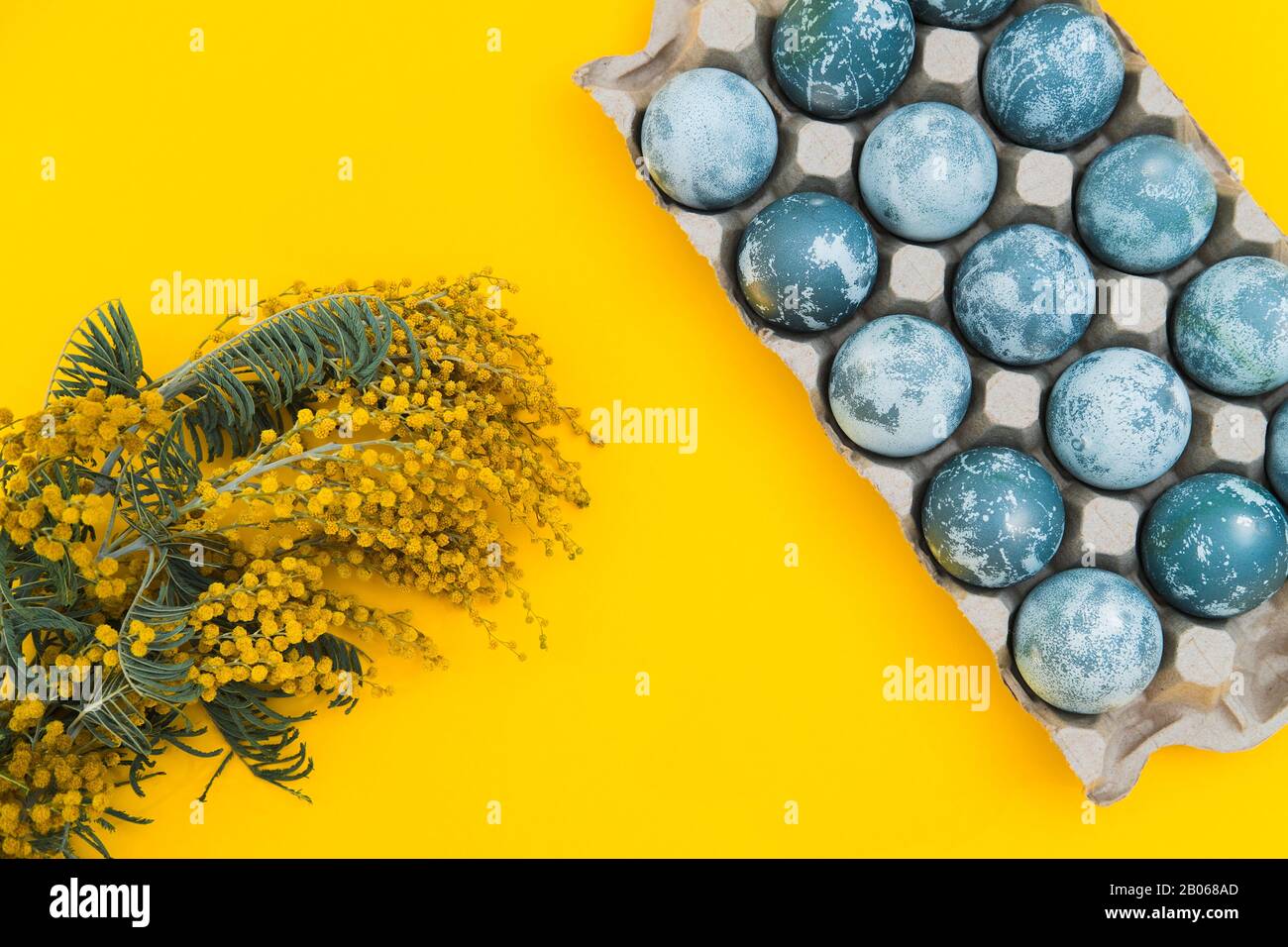 Œufs de Pâques de couleur bleue dans une boîte et fleurs mimosa sur fond jaune vif de vacances. Concept de vacances de printemps. Copyspace. Plat Banque D'Images