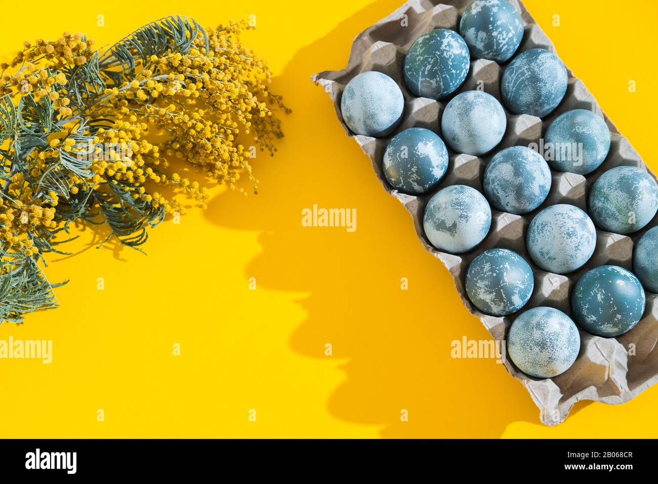 Œufs de Pâques de couleur bleue dans une boîte et fleurs mimosa sur fond jaune vif de vacances. Concept de vacances de printemps. Copyspace. Plat Banque D'Images