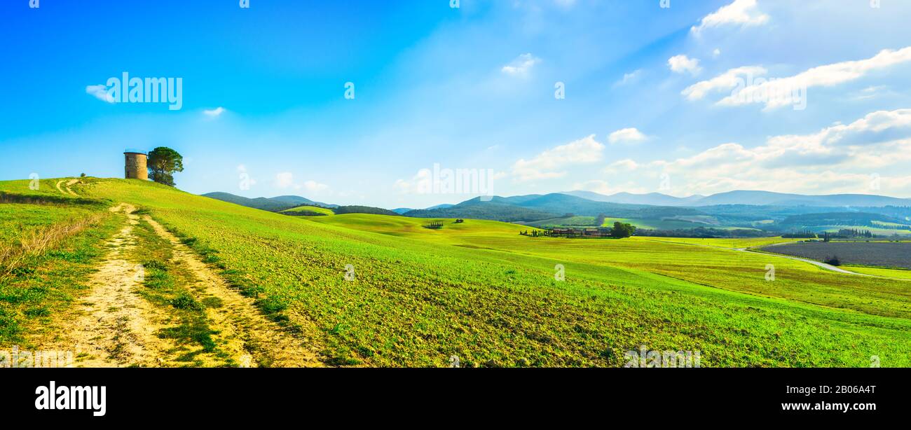 Toscane, paysage de la campagne de la Maremme. Ancien moulin à vent et arbres au sommet de la colline. Bibbona, Livourne, Italie. Banque D'Images