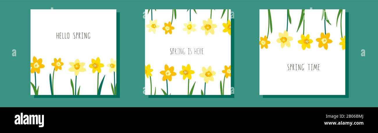 Ensemble vectoriel de modèles de cartes de vœux avec branches de fleurs jaunes narcisse et feuilles vertes. Design pour bannière, invitation, offre promotionnelle Illustration de Vecteur