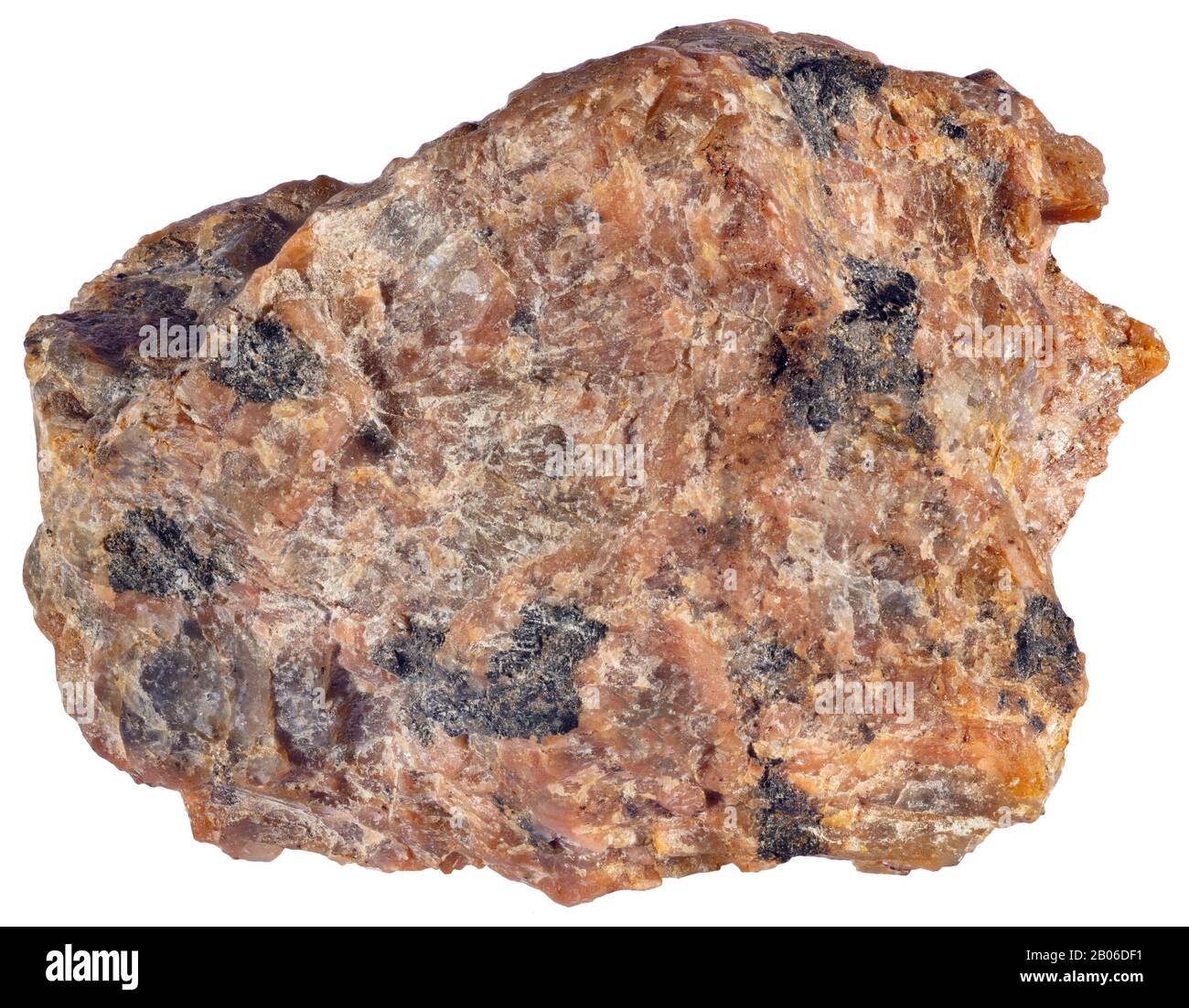 Lamprophyre, Magmatique, Grenville (Québec) La Lamprophyre est une roche ignée porphyritique composée d'une masse de masse de feldspathique à grain fin avec phénocryste Banque D'Images