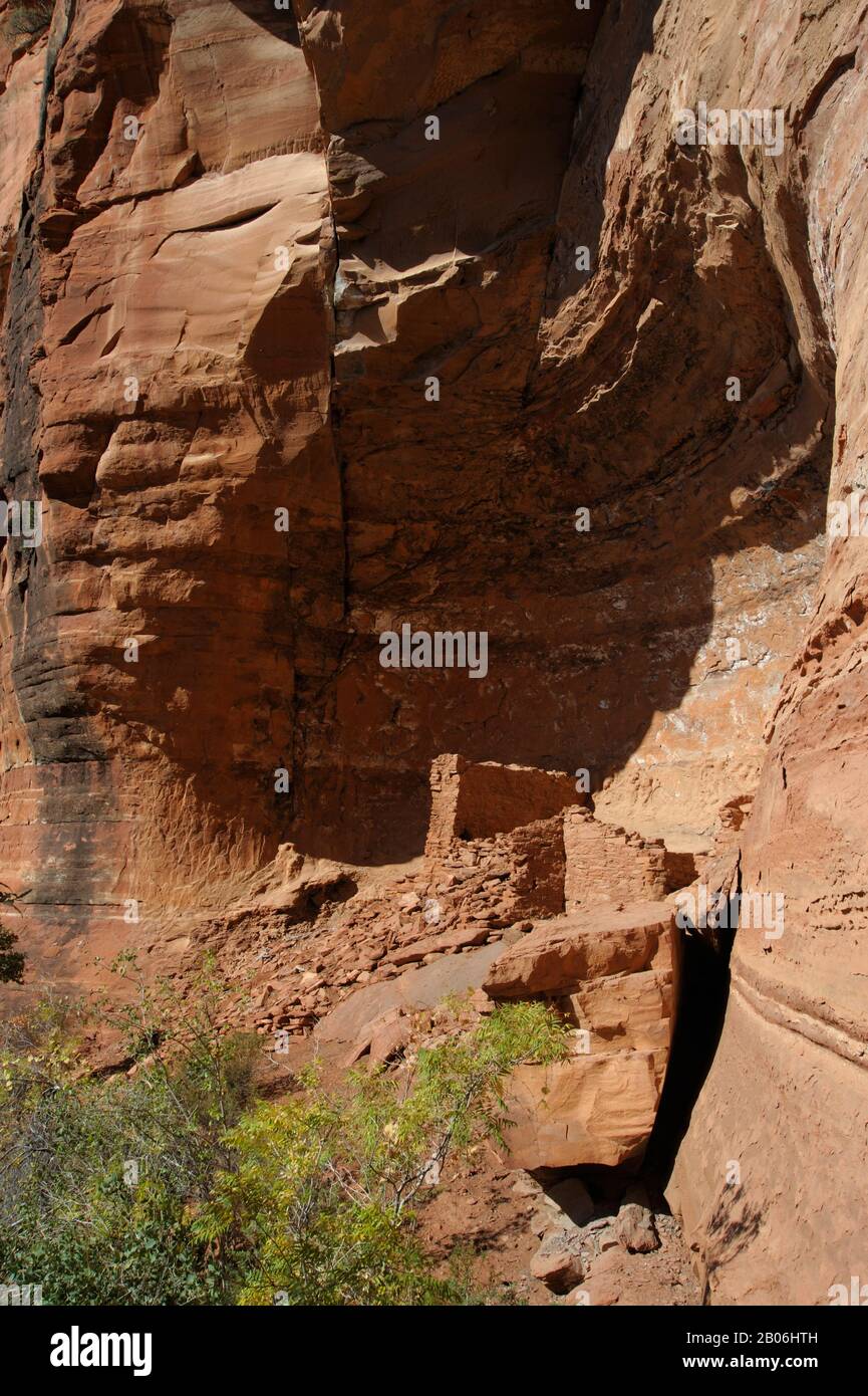 ÉTATS-UNIS, ARIZONA, PRÈS DE SEDONA, RED CANYON, SITE DU PATRIMOINE PALATKI, MAISONS DE FALAISES DE SINAGUA A.D. Banque D'Images