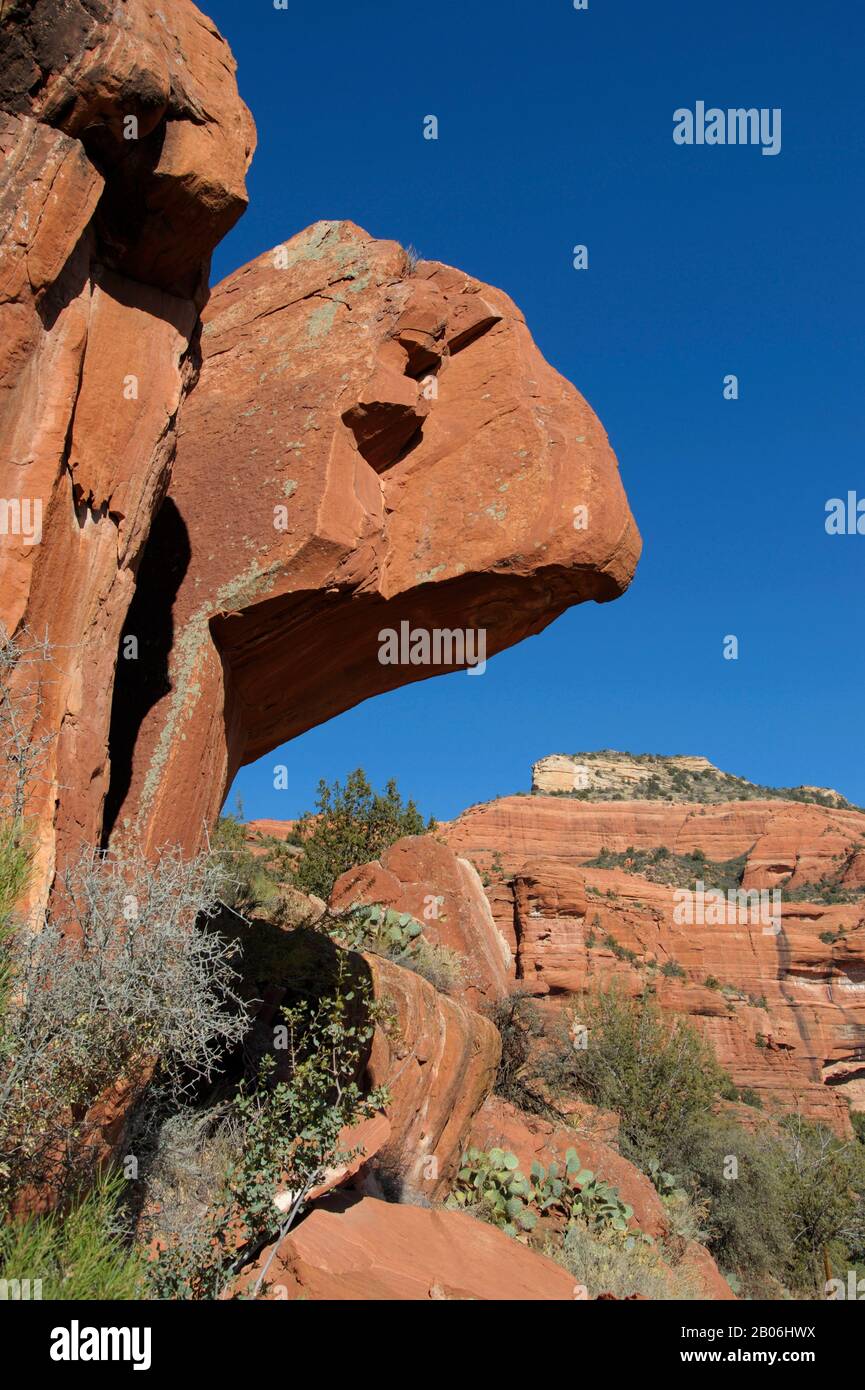 ÉTATS-UNIS, ARIZONA, PRÈS DE SEDONA, RED CANYON, SITE DU PATRIMOINE PALATKI, SITE D'ANCIENNES FALAISES Banque D'Images