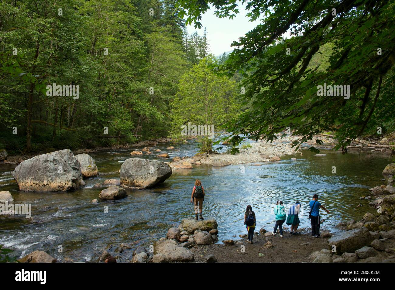 Randonneurs à South Fork de la rivière Snoqualmie dans les forêts tropicales le long de la rive ouest des montagnes Cascade au parc national d'Olallie, près du nord Banque D'Images