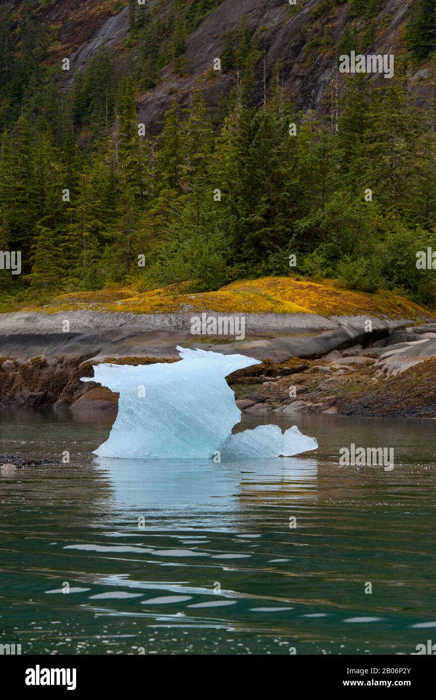Petit iceberg à gués la terreur, Endicott Arm, la Forêt Nationale Tongass, Alaska, USA Banque D'Images