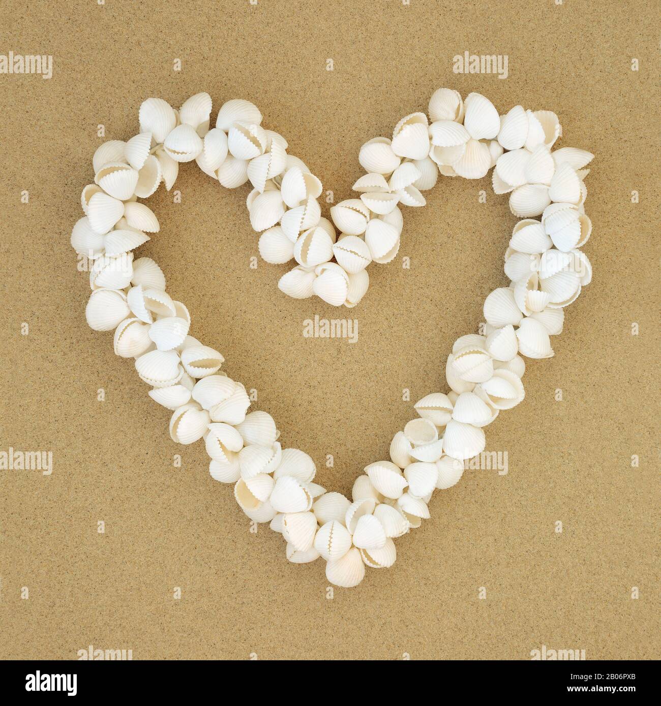 La Coquille De Coquille De Cocarde En Forme De Coeur S Epate Sur Fond De Sable Symbole Romantique Et Concept De Vacances D Ete Photo Stock Alamy