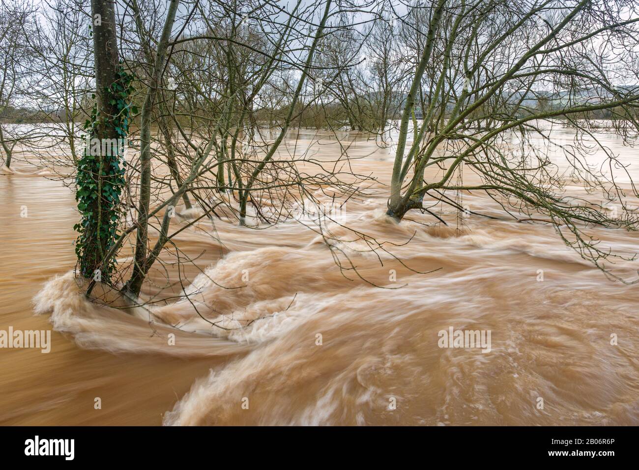 Record de rupture de niveaux d'eau élevés dans la rivière Wye à Monmouth, février 2020. Banque D'Images