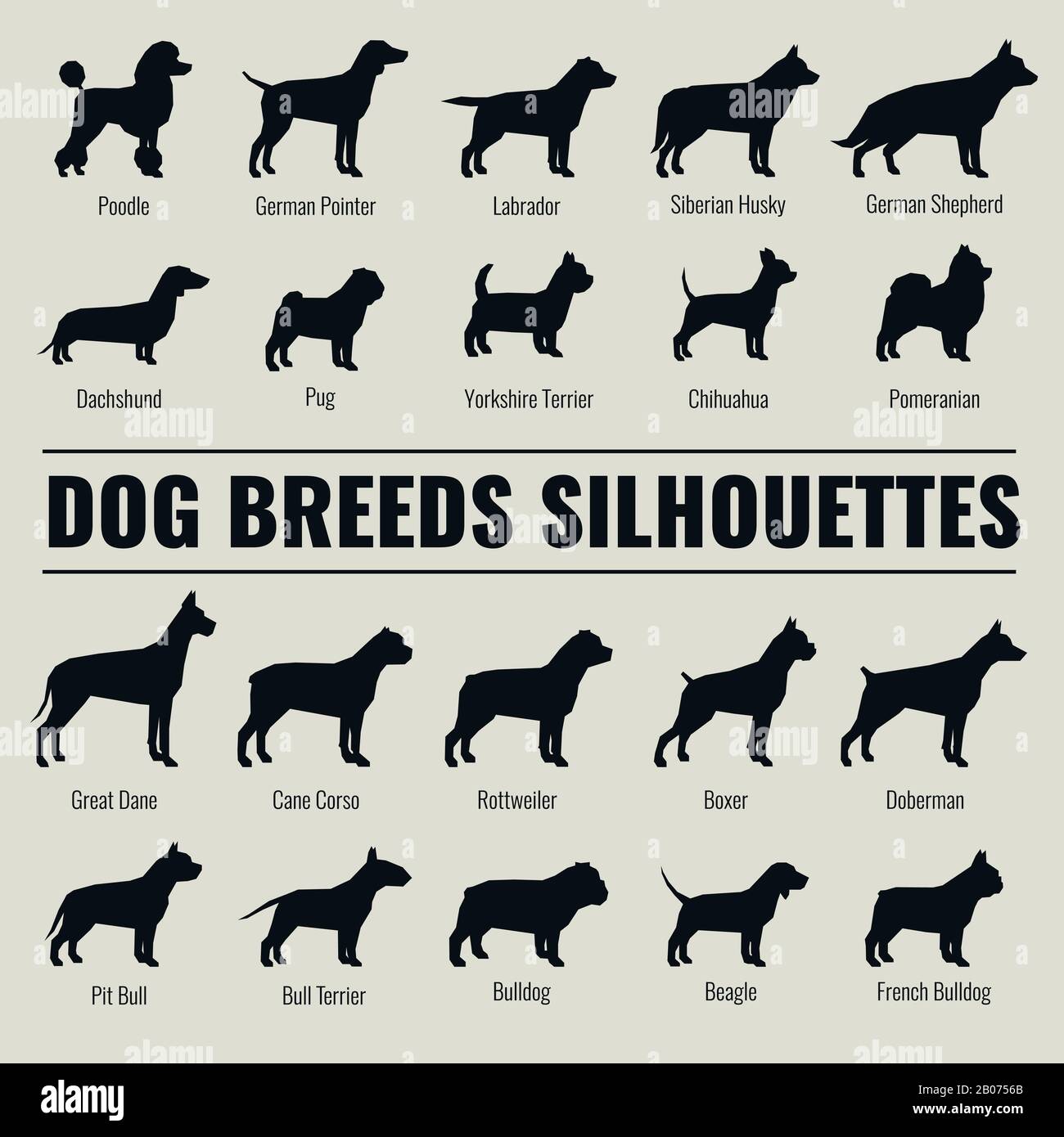 Chien races silhouettes vectorielles ensemble. Poodle et berger allemand, illustration de dachshund et de pug Illustration de Vecteur