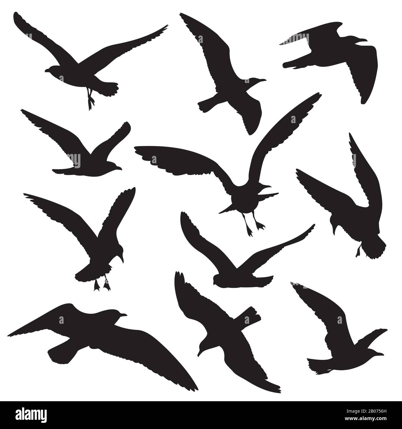 Ensemble vectoriel silhouettes noires pour oiseaux volants. Illustration Dove et hawk, aigle et mouette Illustration de Vecteur