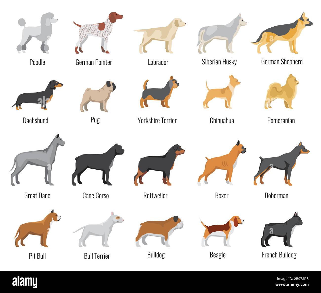 Les chiens reproduisent des icônes plates vectorielles. Animaux de compagnie animaux de compagnie, labrador et husky siberien, illustration du dachshund et du yorkshire terrier Illustration de Vecteur