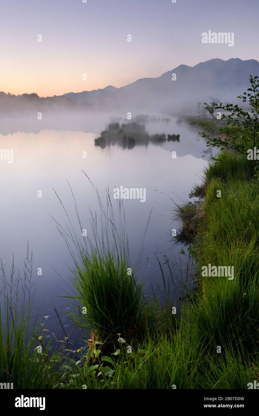Réserve naturelle Kendlmuehlfilzn au lever du soleil dans le brouillard matinal , Allemagne, Bavière, Grassau Banque D'Images Réserve naturelle Kendlmuehlfilzn au lever du soleil dans le brouillard matinal , Allemagne, Bavière, Grassau Banque D'Images