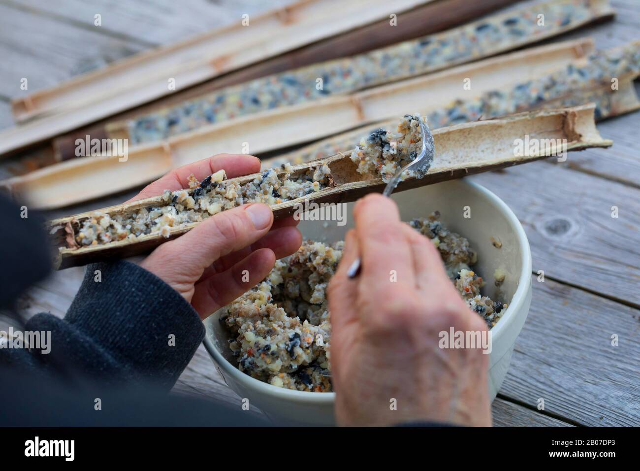 Les tiges de plantes creuses sont coupées en deux pour se remplir de nourriture d'oiseaux faite soi, en Allemagne Banque D'Images