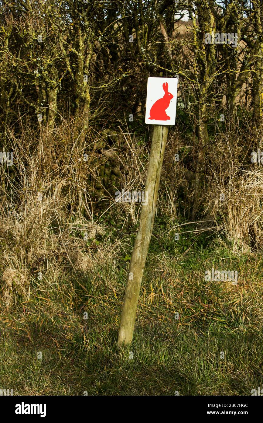 Un signe étrange avec un lapin rouge sur lui, près de Widemouth Bay, Cornwall, Angleterre Banque D'Images