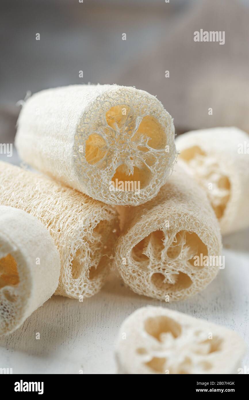 Éponge Luffa pour un lavage ou un bain de vaisselle sans déchets Photo  Stock - Alamy