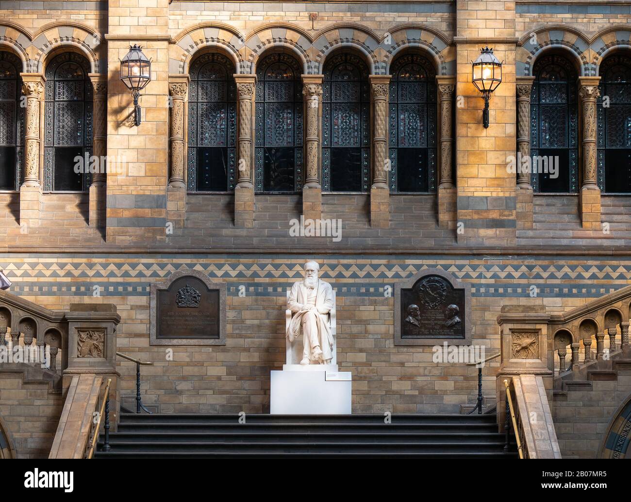 Londres, Royaume-Uni. Vers Décembre 2019. Statue de Charles Darwin, père de la théorie de l'évolution des espèces, située dans l'Histoire naturelle Banque D'Images