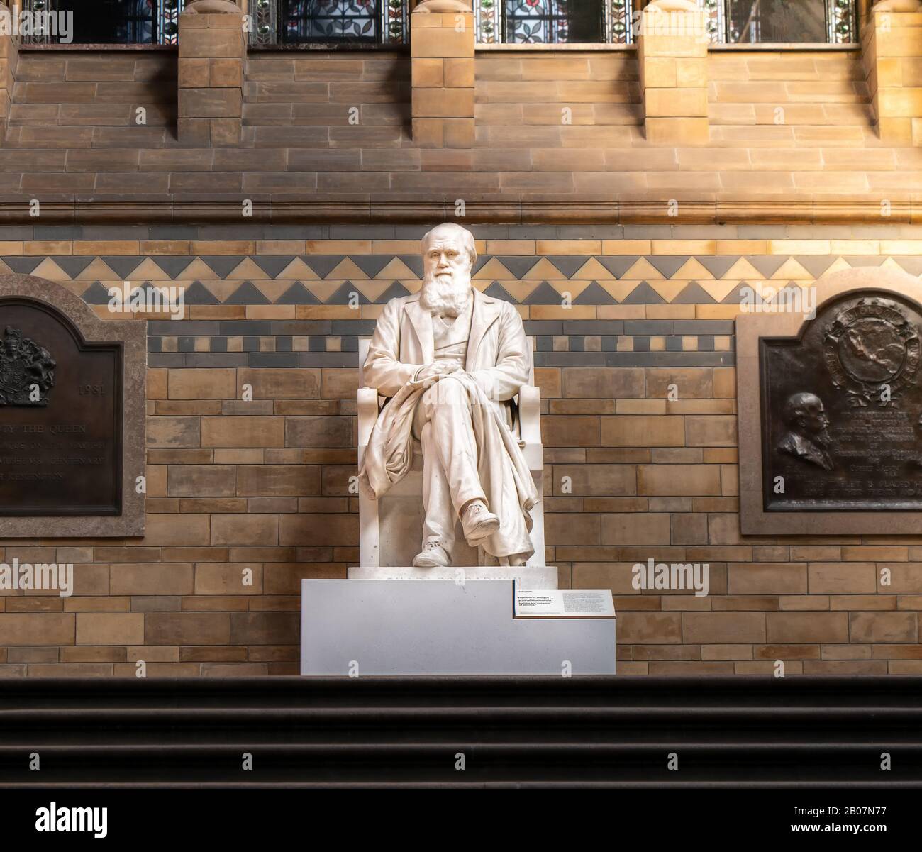 Londres, Royaume-Uni. Vers Décembre 2019. Statue de Charles Darwin, père de la théorie de l'évolution des espèces, située dans l'Histoire naturelle Banque D'Images