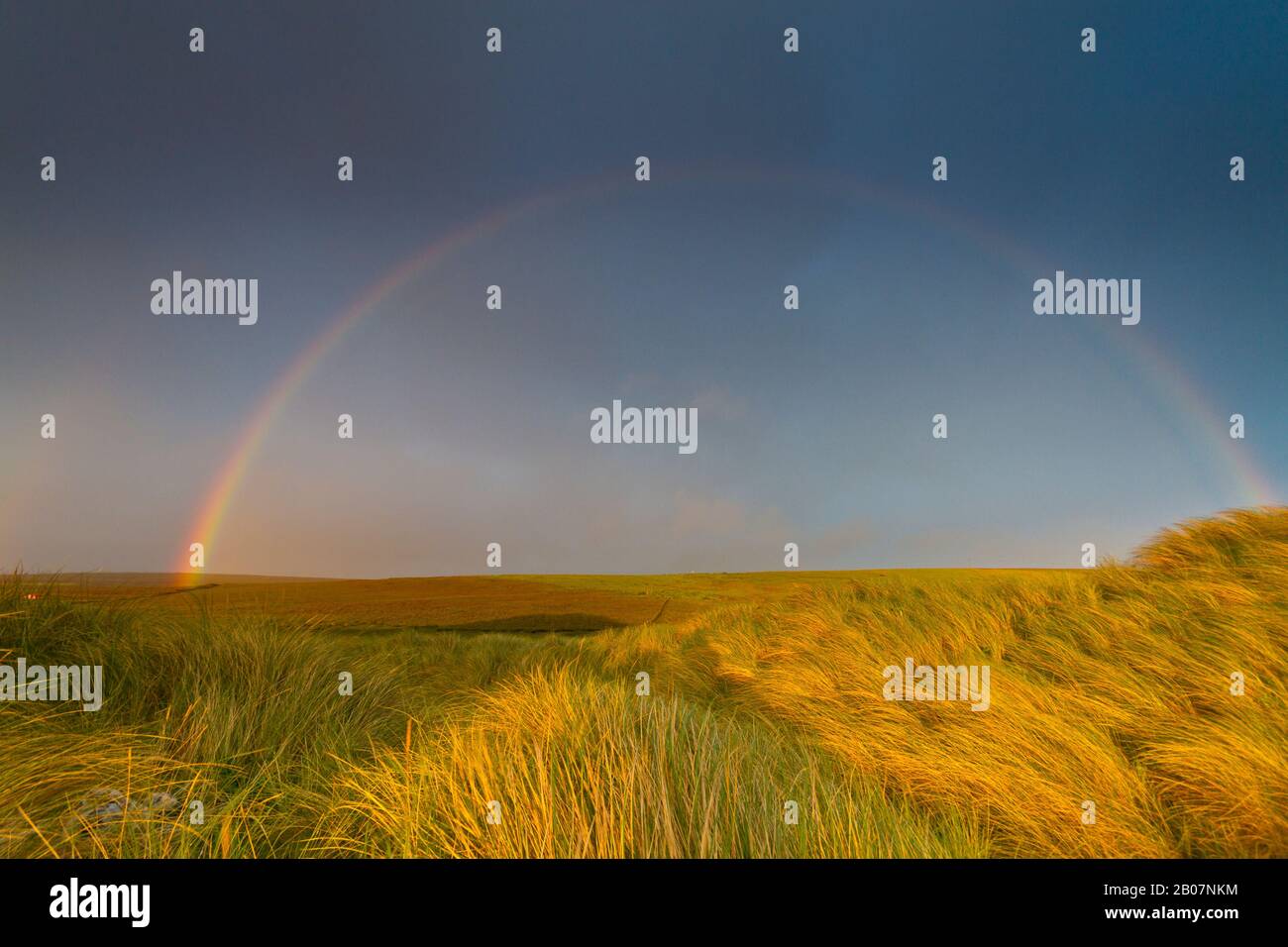 Rainbow au-dessus de l'herbe de marram, île d'Eday, Orkney Banque D'Images