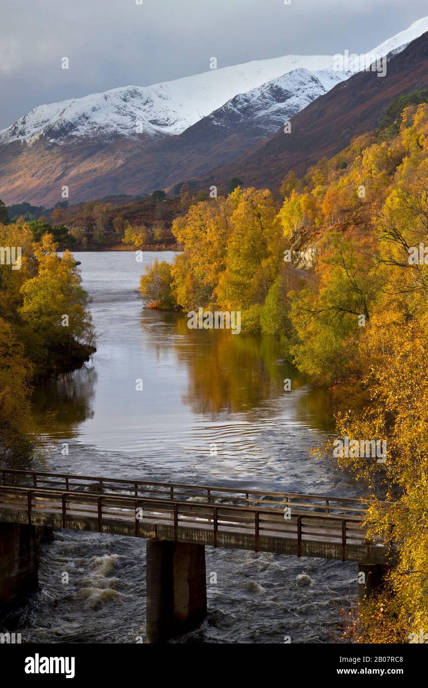 Automne À Glen Affric, Highland Ecosse Banque D'Images