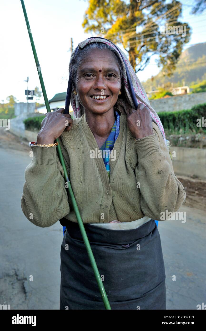 Sri Lanka, Nuwara Eliya, femme tamoule Banque D'Images