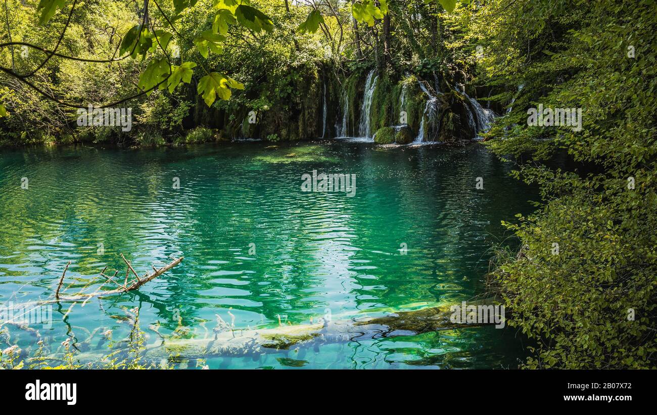 Cascades et chutes d'eau dans le paysage des lacs de Plitvice, Croatie. Banque D'Images