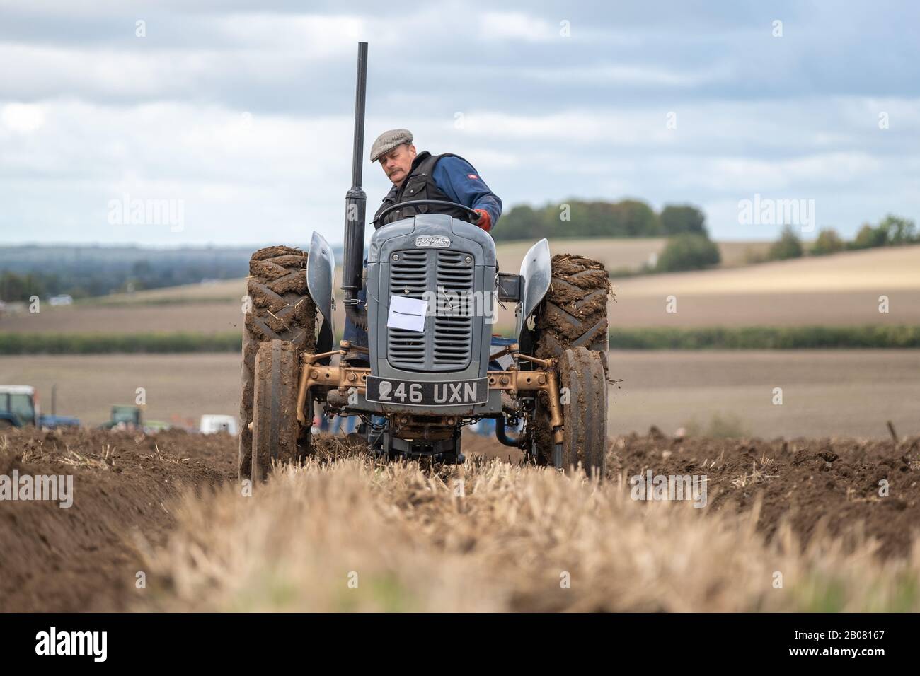 Tracteur vintage gris et or Farmer pline son champ en Angleterre sur un vieux tracteur gris gris gris. Banque D'Images