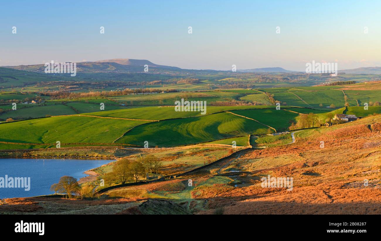 Vue panoramique sur la campagne du matin (réservoir d'Embsay, coquillages ou landes éclairés au soleil, champs de ferme dans la vallée, hautes hautes terres et colline Pendle) - Yorkshire du Nord, Angleterre, Royaume-Uni. Banque D'Images