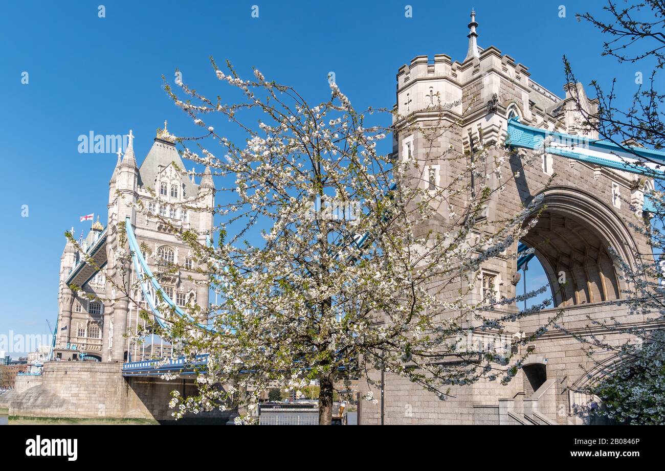 Célèbre attraction touristique de Londres, architecture historique de Tower Bridge au printemps, Angleterre - Royaume-Uni Banque D'Images