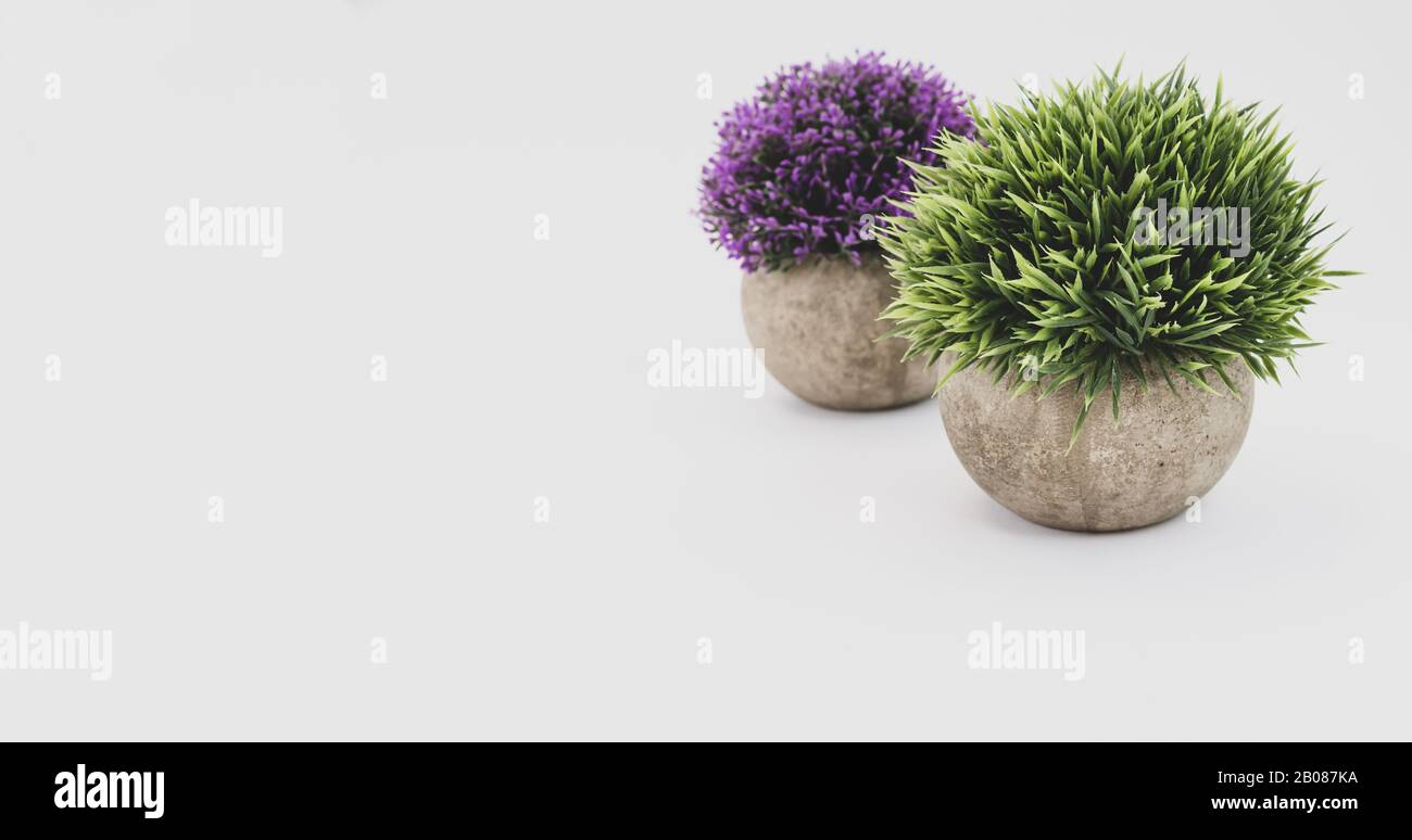 plantes en pot artificielles sur un fond blanc - concept de nature Banque D'Images