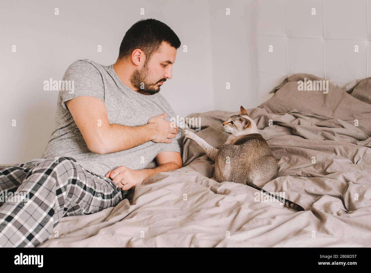 Homme Caucasien Jouant Avec Chat Furieux Chat Pitie Gratter La Main Maitre Du Proprietaire Guy Allonge Sur Le Lit A La Maison Avec Chat Oriental Proprietaire D Animal De Compagnie Avec Dome Photo