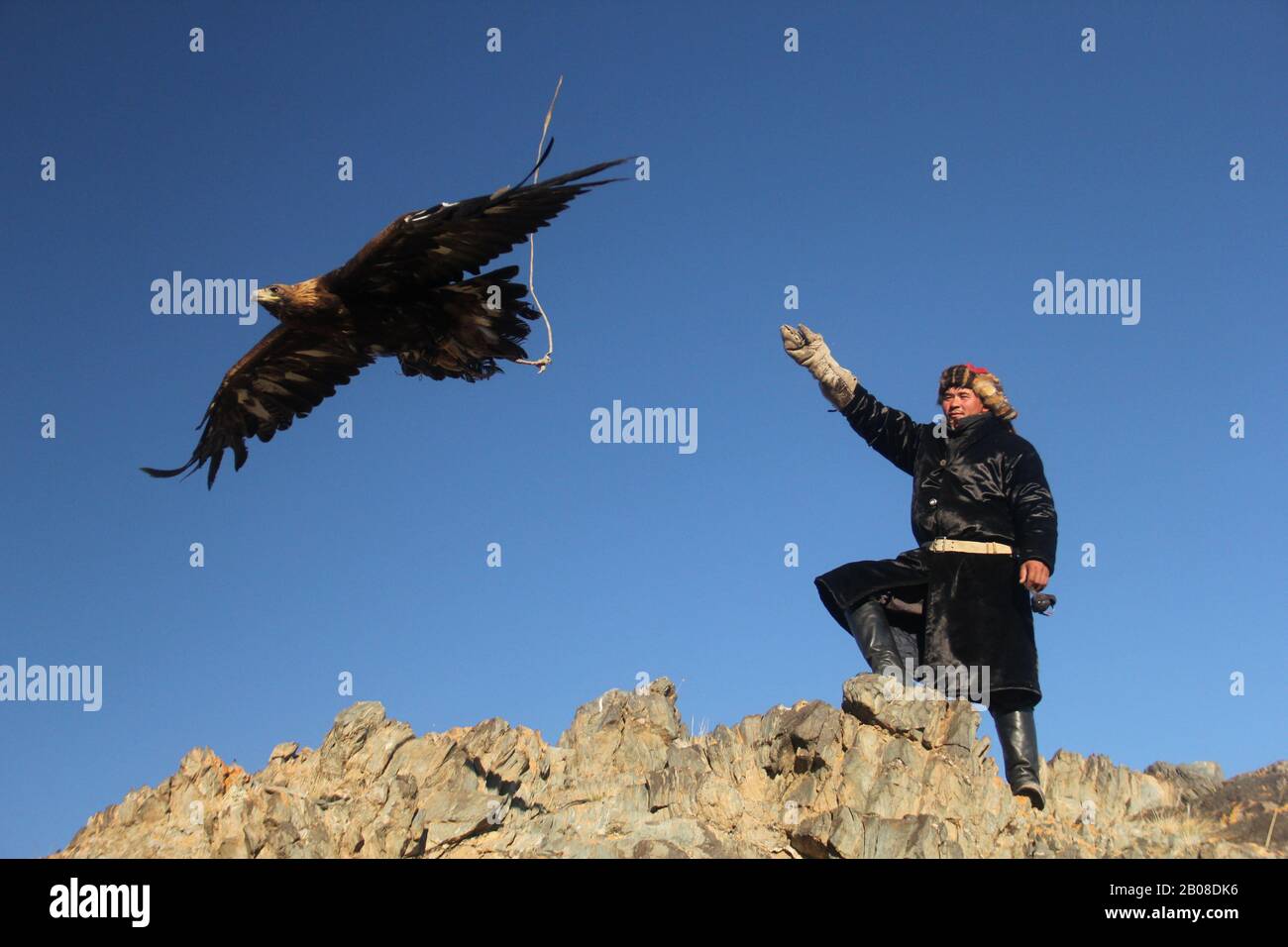 Chasseurs d'aigles d'or et d'aigles en Mongolie, positions au lever du soleil Banque D'Images