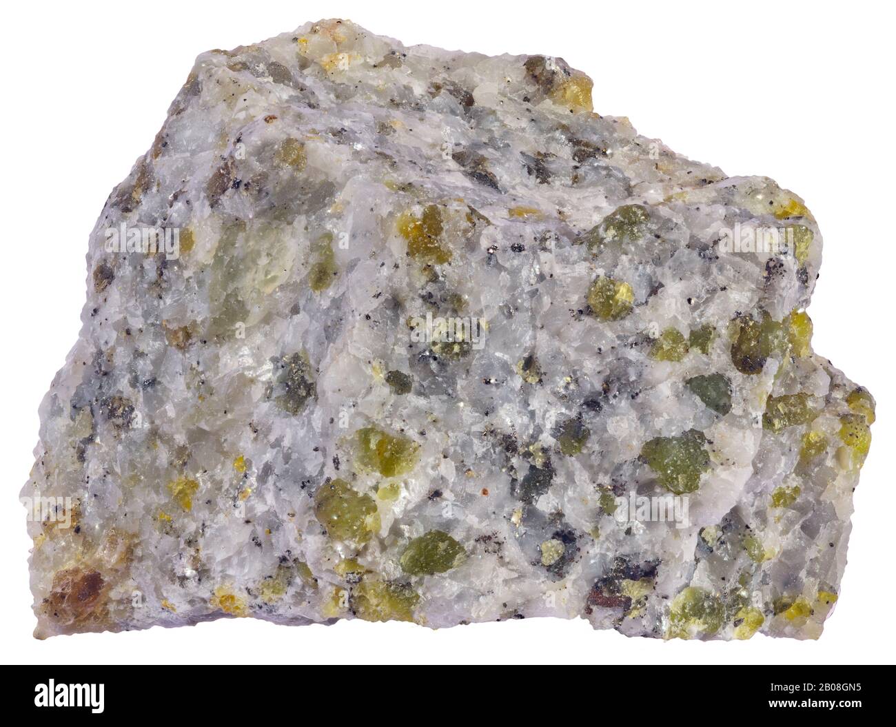 Gabbro olivine, Plutonique, Grenville (Québec) une roche plutonique à grain grossier composée essentiellement de plagioclase calcique, de pyroxène et d'oxydes de fer. Banque D'Images