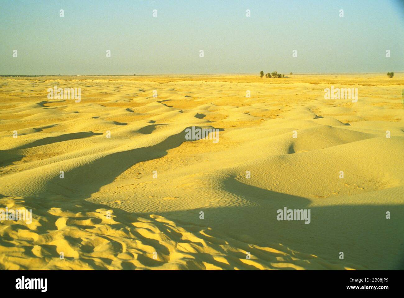 AFRIQUE, TUNISIE, DÉSERT DU SAHARA, MODÈLES DANS LE SABLE CHANGEANT Banque D'Images