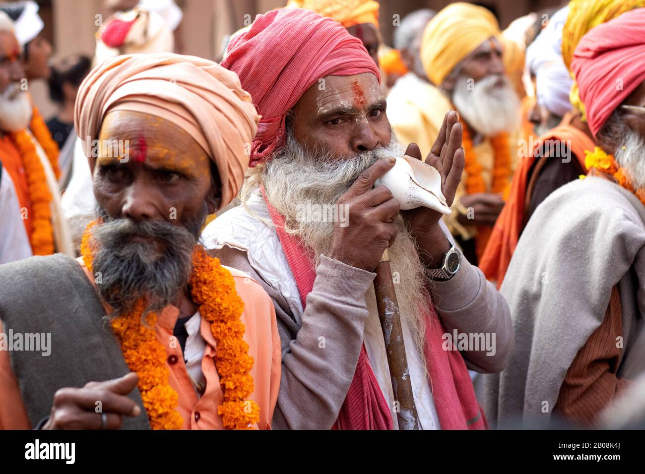 Pushkar,Rajasthan /Inde. 06 /11/2019. Groupe indien du vieux Sadhus Avec Tilak Sur Le Front et Blowing Sankh dans Rallye de Sadhus sur la route Banque D'Images