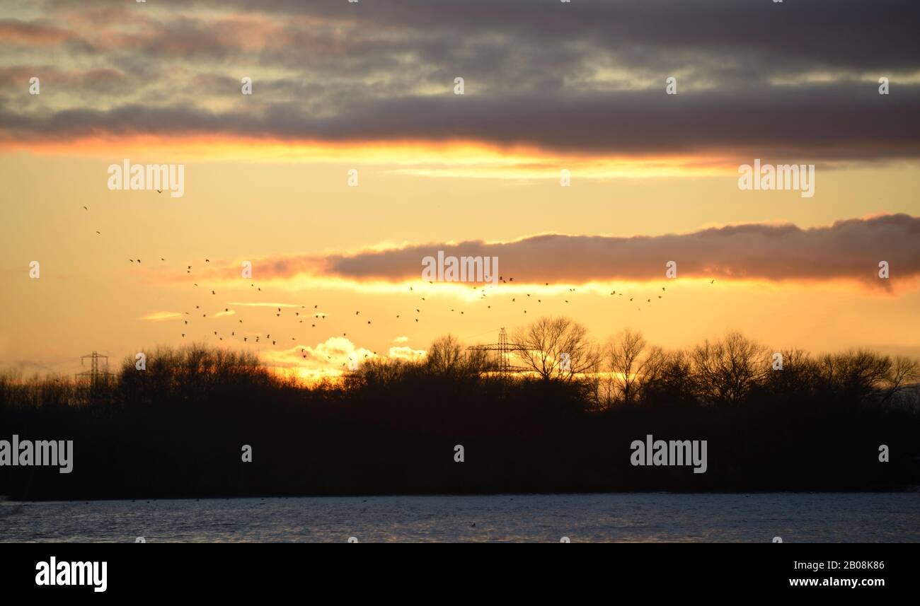 Coucher De Soleil À Attenborough Nature Reserve, Notinghamshire. Banque D'Images