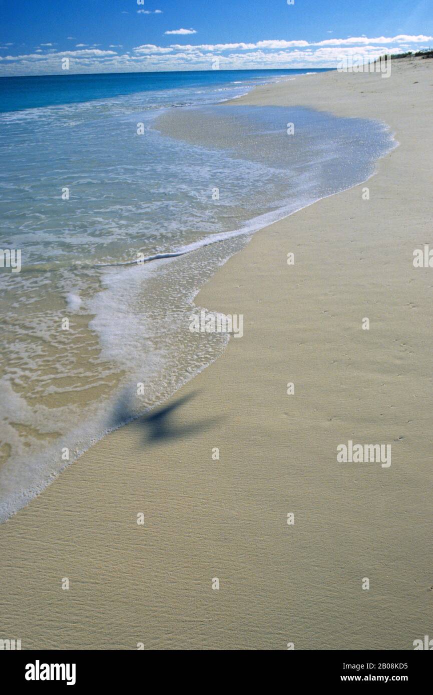 ÎLES DE LA SEYCHELLES, ÎLE D'OISEAUX, PLAGE BLANCHE AVEC SURF Banque D'Images