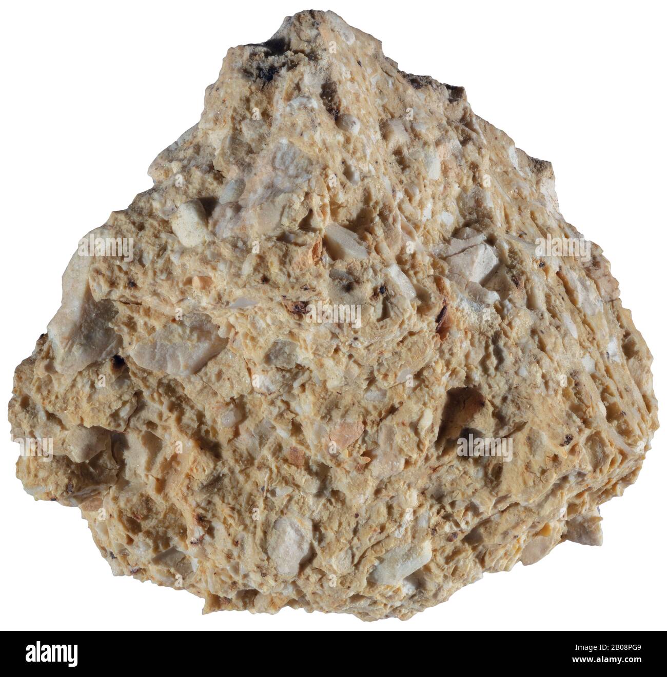 Tripoli, Carbonate, Italie une roche poreuse de couleur claire composée des coquilles de diatomées. Banque D'Images