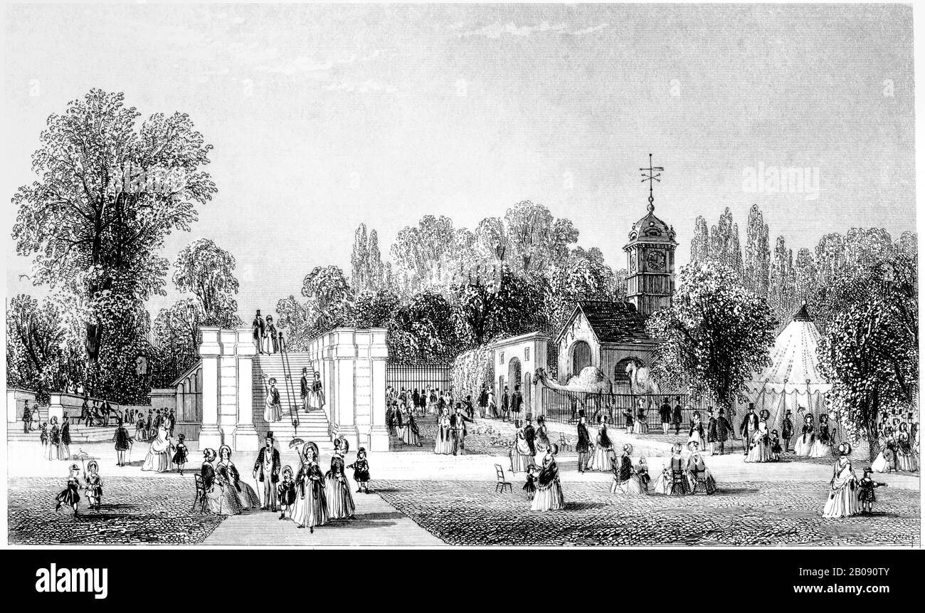 Une gravure du parc zoologique Zoological Gardens Regents Park, Londres, Royaume-Uni, numérisée à haute résolution à partir d'un livre imprimé en 1851. Je pensais libre de droits d'auteur. Banque D'Images