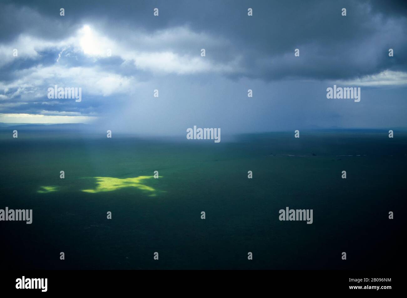 TANZANIE, SERENGETI, VUE AÉRIENNE, DOUCHE À EFFET PLUIE Banque D'Images