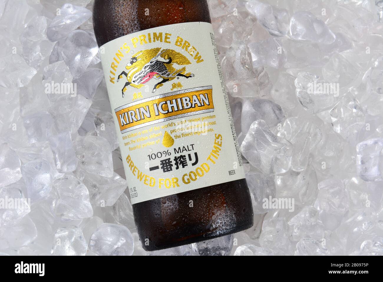 Irvine, CA - 11 JANVIER 2015 : une bouteille de Kirin Ichiban s'est rapprochée d'un lit de glace. Kirin est une marque populaire de bière japonaise importée dans le United S Banque D'Images